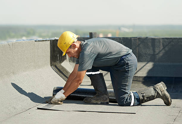 Best Crawl Space Insulation  in Wetherington, OH